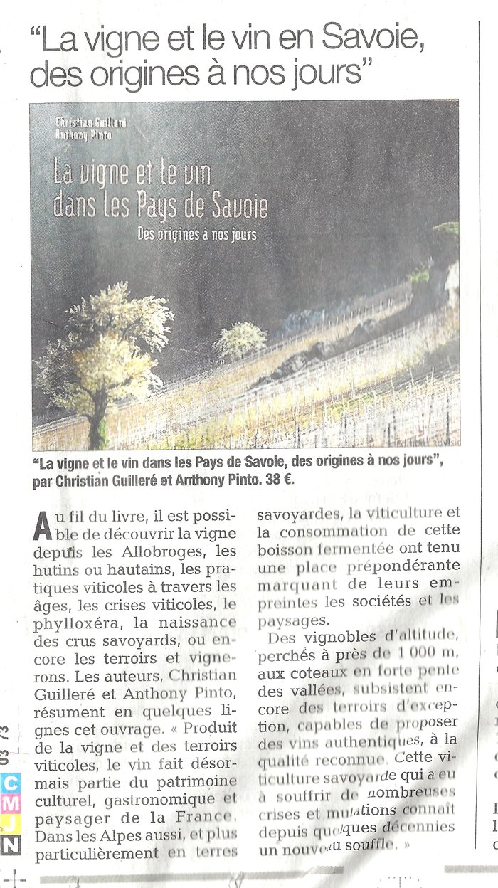 Article vigne origines